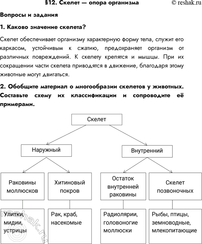 Изображение §12. Скелет — опора организмаВопросы и задания1. Каково значение скелета?Скелет обеспечивает организму характерную форму тела, служит его каркасом, устойчивым к...