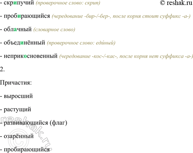 Дополнительное изображение